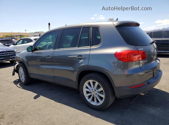 WVGAV7AX7HK046141 2017 VOLKSWAGEN TIGUAN Gray 