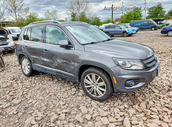 WVGAV7AX8GW602948 2016 VOLKSWAGEN TIGUAN Gray 
