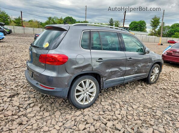 WVGAV7AX8GW602948 2016 VOLKSWAGEN TIGUAN Gray 