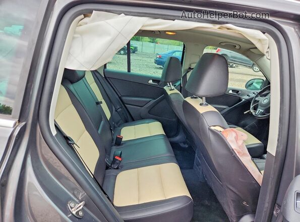 WVGAV7AX8GW602948 2016 VOLKSWAGEN TIGUAN Gray 