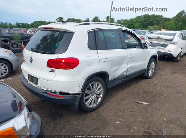 WVGBV7AX1GW573085 2016 VOLKSWAGEN TIGUAN White Tył prawy