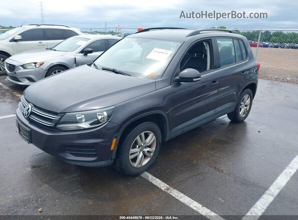 WVGBV7AX2GW579641 2016 VOLKSWAGEN TIGUAN Purple Передня ліва чверть