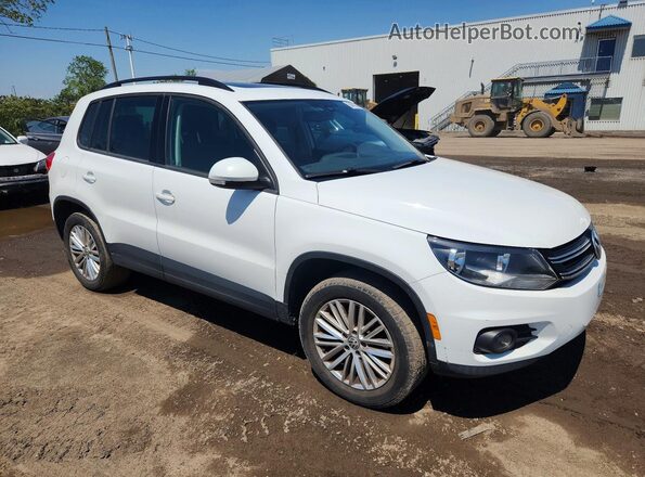 WVGJV7AX0GW509101 2016 VOLKSWAGEN TIGUAN White 