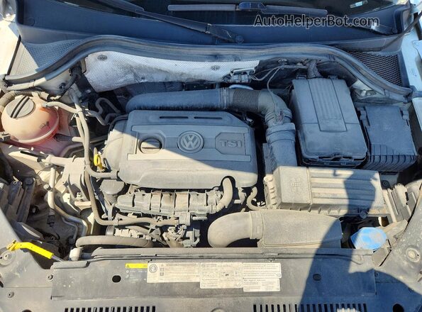 WVGJV7AX0GW509101 2016 VOLKSWAGEN TIGUAN White 