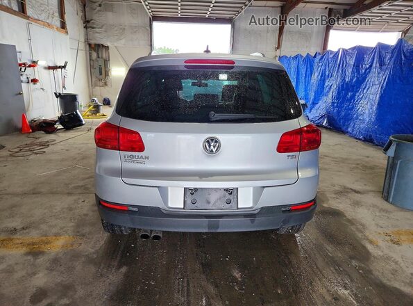 WVGRV7AX8HW508024 2017 VOLKSWAGEN TIGUAN Silver Հետևի տեսք