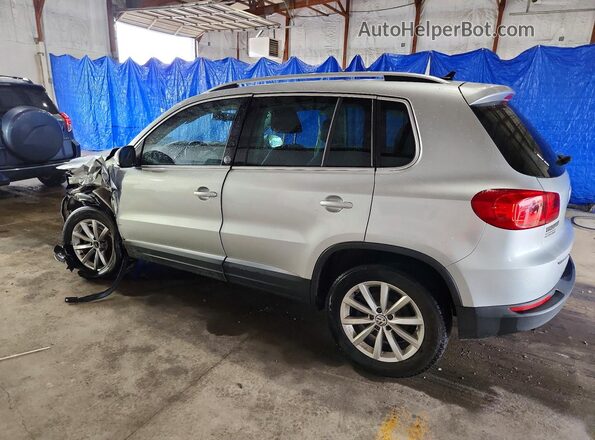 WVGRV7AX8HW508024 2017 VOLKSWAGEN TIGUAN Silver Հետևի ձախ