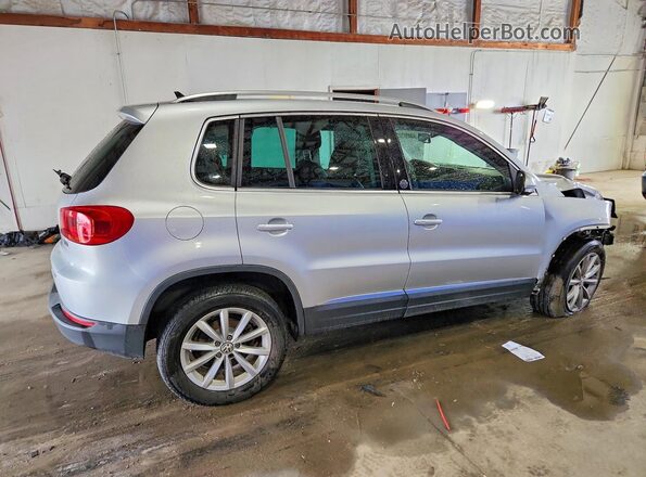 WVGRV7AX8HW508024 2017 VOLKSWAGEN TIGUAN Silver Հետևի աջ