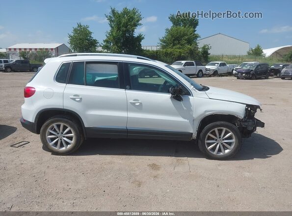 WVGSV7AX2HW502690 2017 VOLKSWAGEN TIGUAN White Вид задньої частини салону