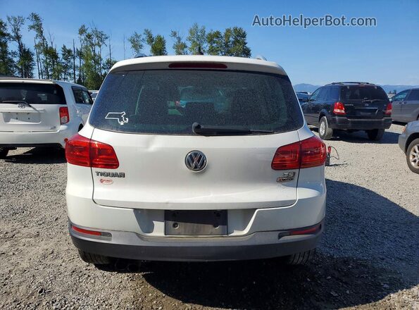 WVGSV7AX5HK014776 2017 VOLKSWAGEN TIGUAN White Հետևի տեսք