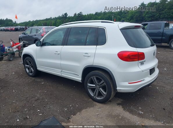 WVGUV7AX0HK031154 2017 VOLKSWAGEN TIGUAN Белый Задняя левая четверть