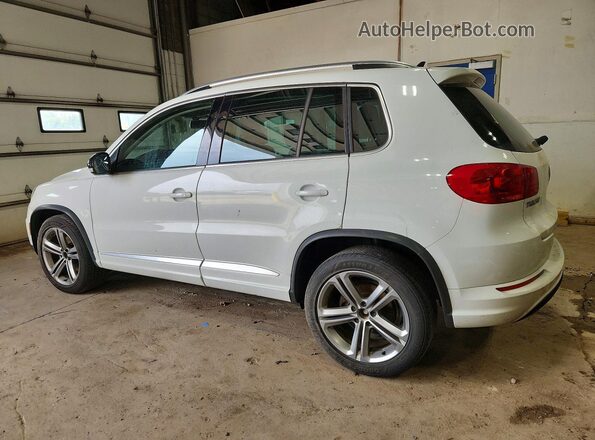 WVGUV7AX1HW509056 2017 VOLKSWAGEN TIGUAN Белый 
