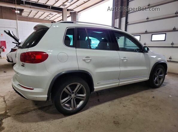 WVGUV7AX1HW509056 2017 VOLKSWAGEN TIGUAN Белый 