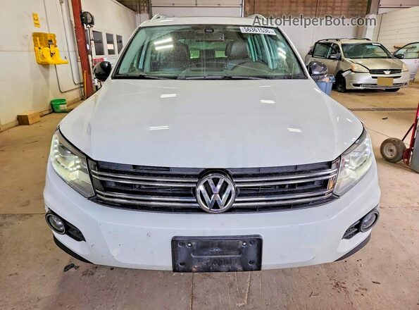 WVGUV7AX1HW509056 2017 VOLKSWAGEN TIGUAN Белый 