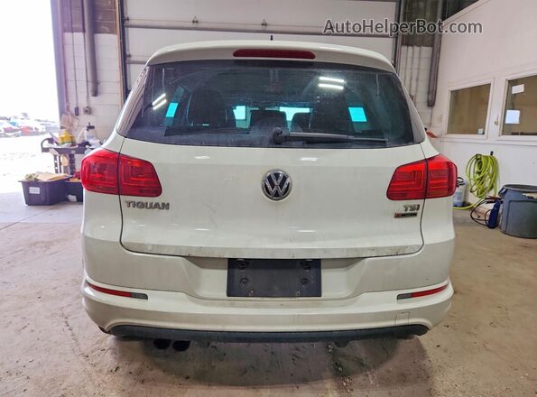 WVGUV7AX1HW509056 2017 VOLKSWAGEN TIGUAN Белый 