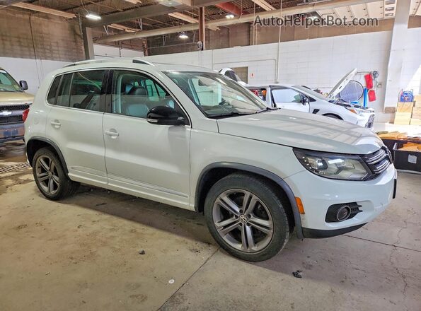 WVGUV7AX1HW509056 2017 VOLKSWAGEN TIGUAN Белый 