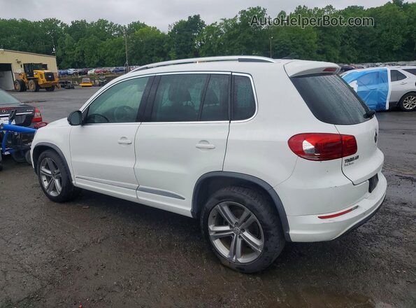 WVGUV7AX9HK020427 2017 VOLKSWAGEN TIGUAN White Հետևի ձախ