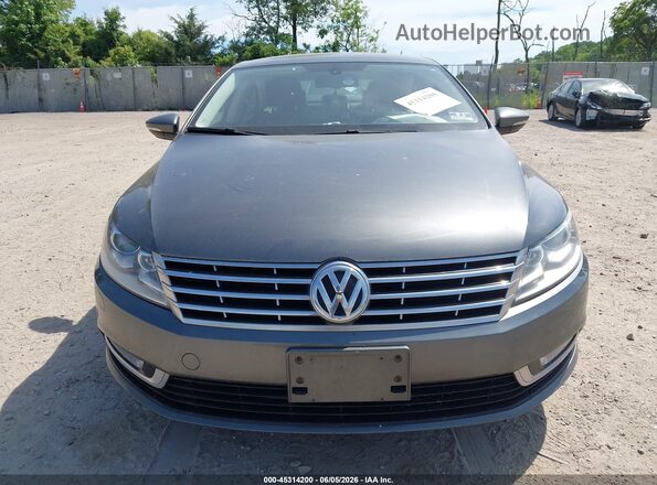 WVWBP7AN0GE502771 2016 VOLKSWAGEN CC Gray Widok z przodu