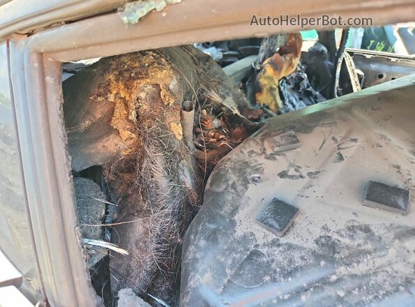 WZ1DB4C03LW022138 2020 TOYOTA GR Black Вид задніх сидінь