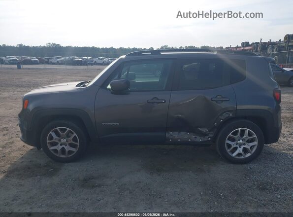 ZACCJABB3HPE63190 2017 JEEP RENEGADE Gray Панорамний вид салону 360°