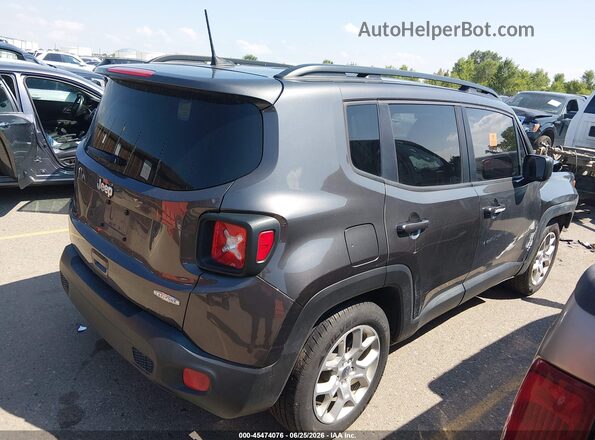 ZACCJABB5JPJ40486 2018 JEEP RENEGADE Silver Панорамний вид салону 360°