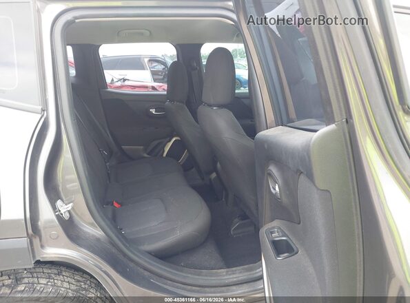 ZACCJBAB3HPE81048 2017 JEEP RENEGADE Gray Vista de la etiqueta del VIN