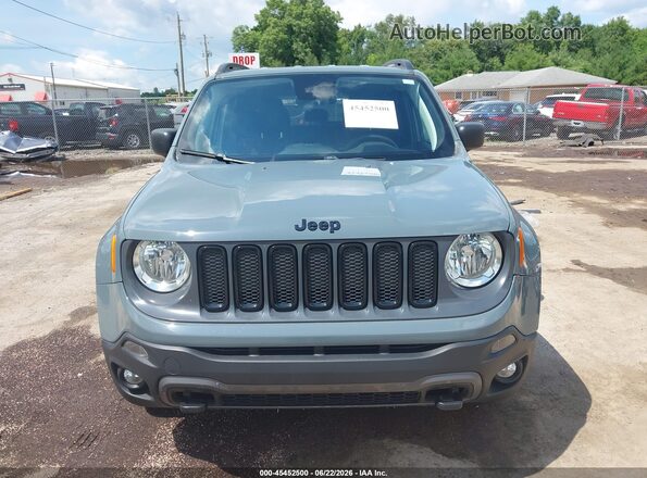 ZACCJBAB6JPH25605 2018 JEEP RENEGADE Серый Вид задней части салона