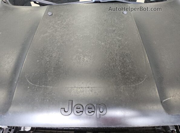 ZACCJBCB0HPF31899 2017 JEEP RENEGADE Black 