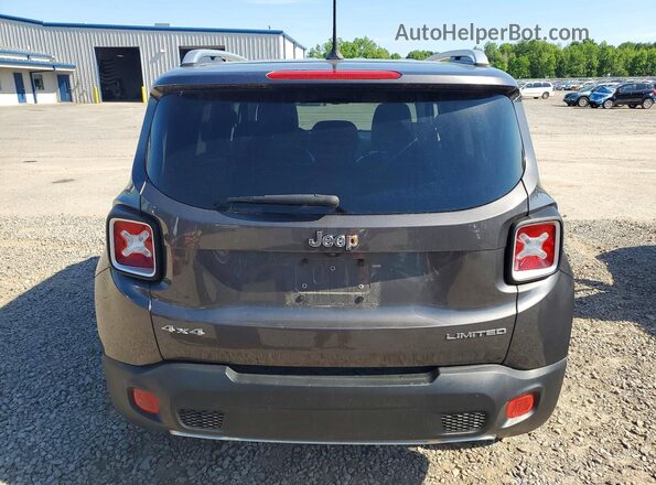 ZACCJBDB2HPF23821 2017 JEEP RENEGADE Gray Rear view