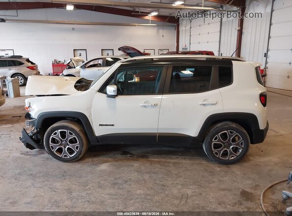 ZACCJBDB3HPF54933 2017 JEEP RENEGADE Белый Панорамный вид салона 360°