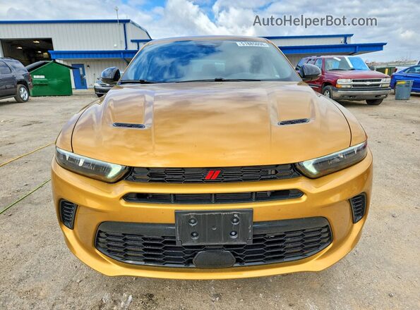ZACNDFAN2R3A42269 2024 DODGE OTHER Orange 