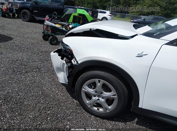ZACNDFAN4S3A45468 2025 DODGE OTHER White Vista frontal
