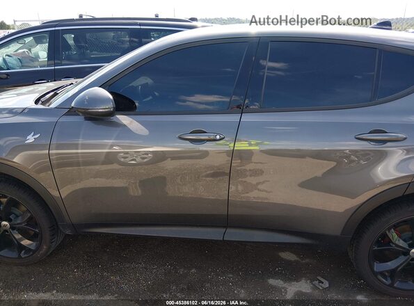 ZACNDFAN6R3A37110 2024 DODGE OTHER Gray Widok wnętrza 360 stopni