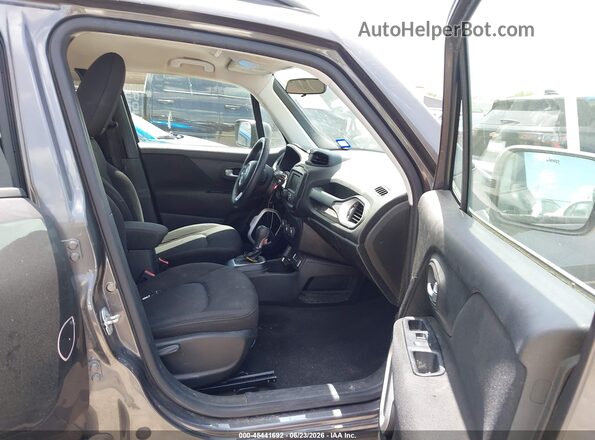 ZACNJAAB2KPK65800 2019 JEEP RENEGADE Gray Սալոնի դիմացի տեսք