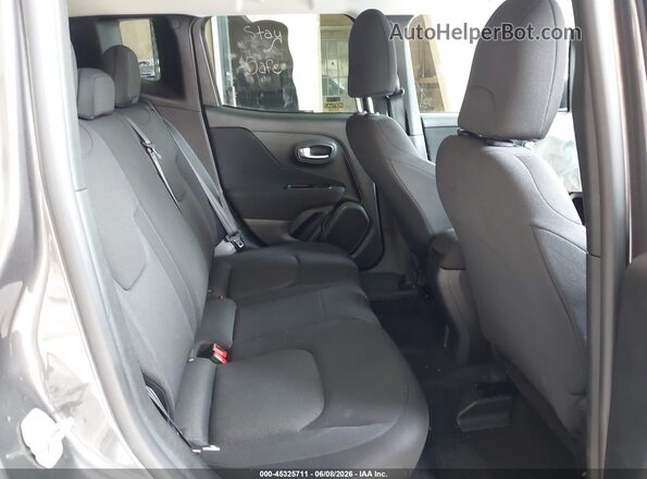 ZACNJAAB4LPL35086 2020 JEEP RENEGADE Серый Вид наклейки с VIN-кодом