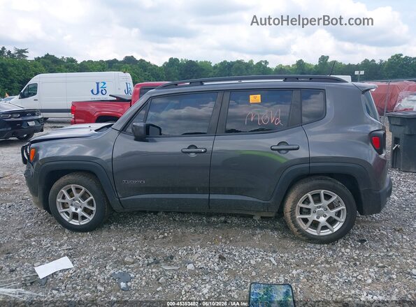 ZACNJABB0KPK64806 2019 JEEP RENEGADE Gray Vista interior trasera