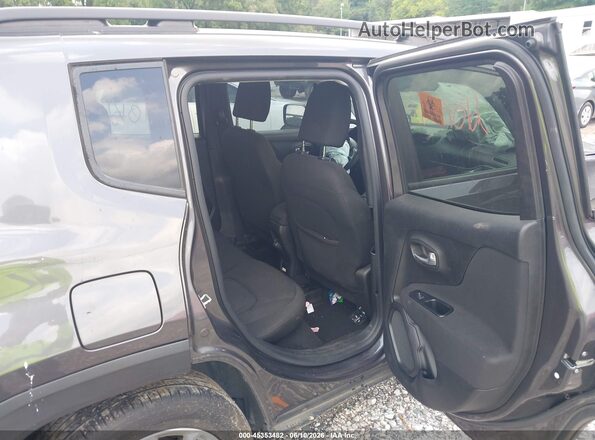 ZACNJABB0KPK64806 2019 JEEP RENEGADE Gray Vista de la etiqueta del VIN