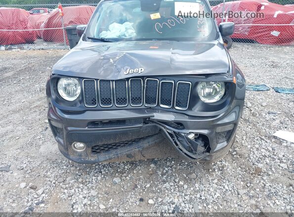 ZACNJABB0KPK64806 2019 JEEP RENEGADE Gray Vista del salpicadero