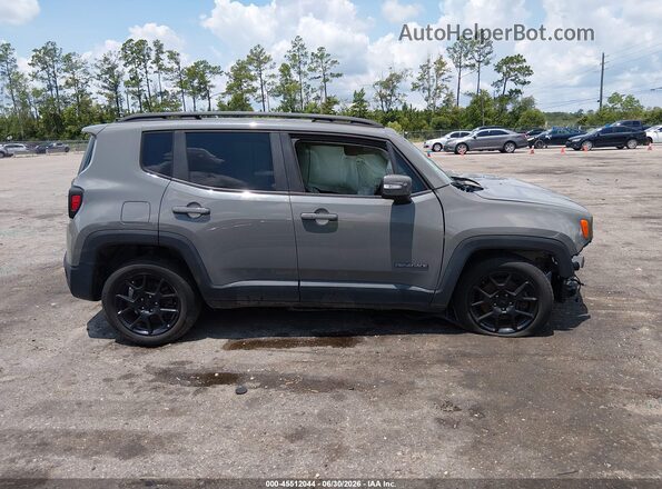 ZACNJABB2KPK59624 2019 JEEP RENEGADE Gray Instrument cluster view