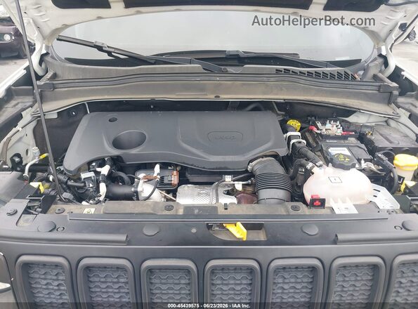 ZACNJBA17LPK96376 2020 JEEP RENEGADE White Widok z tyłu