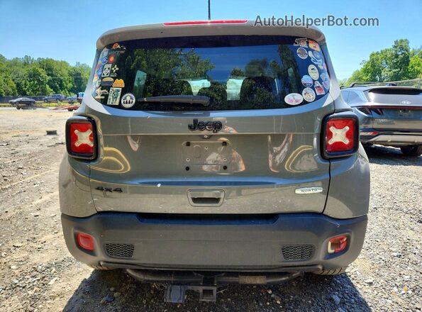ZACNJBAB0LPL58158 2020 JEEP RENEGADE Серый Вид сзади