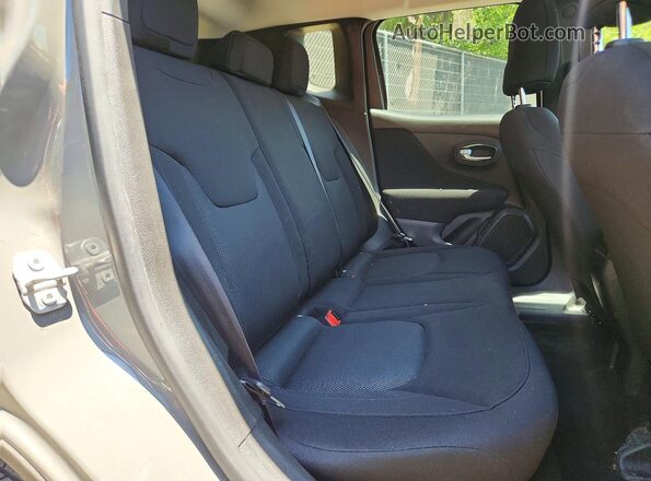 ZACNJBAB0LPL58158 2020 JEEP RENEGADE Серый Вид задней части салона