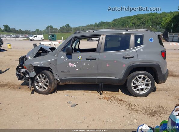 ZACNJBAB0LPL87790 2020 JEEP RENEGADE Gray Սալոնի հետևի տեսք