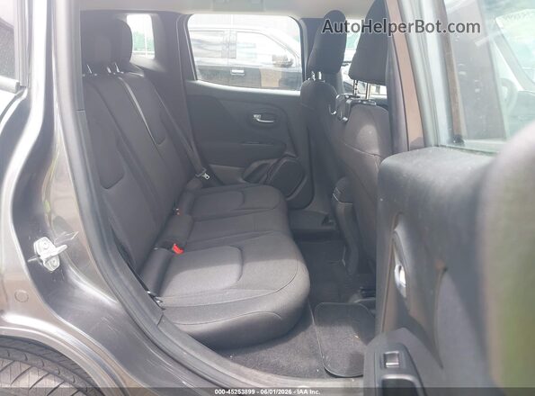 ZACNJBAB5KPK74299 2019 JEEP RENEGADE Gray VIN կոդի պիտակի տեսք