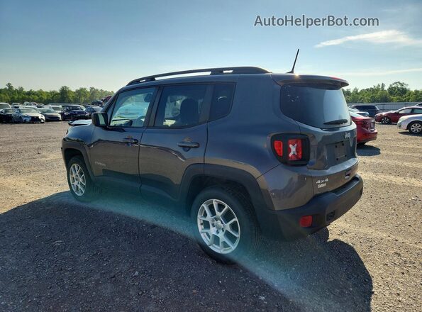 ZACNJBABXKPJ74134 2019 JEEP RENEGADE Charcoal უკანა მარცხენა