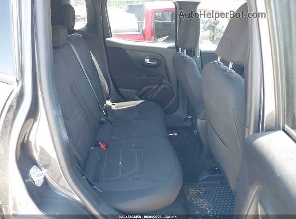 ZACNJBBB1LPL06729 2020 JEEP RENEGADE Gray VIN sticker view