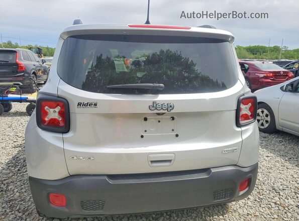 ZACNJBBB1LPL29072 2020 JEEP RENEGADE Серебряный Вид сзади