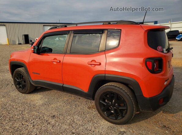 ZACNJBBB3KPJ99861 2019 JEEP RENEGADE Orange 