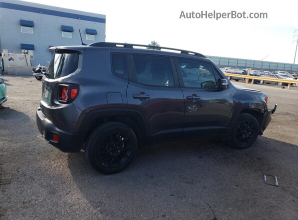 ZACNJBBB5LPL13005 2020 JEEP RENEGADE Charcoal 