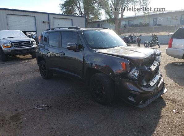 ZACNJBBB5LPL13005 2020 JEEP RENEGADE Charcoal 