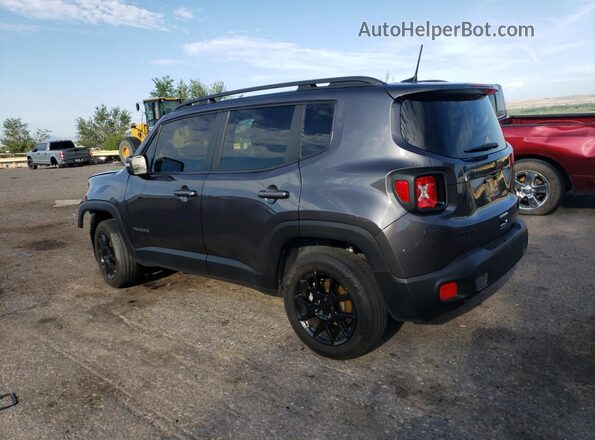 ZACNJBBB5LPL13005 2020 JEEP RENEGADE Charcoal 